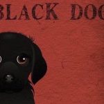 BLACK DOG - ONSDAG
