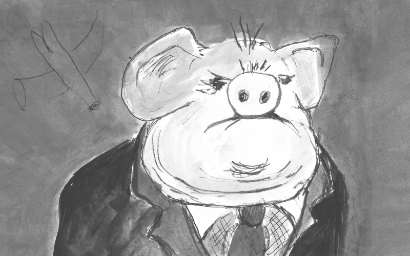 ANIMAL FARM illustration by: Vivienne Mckee